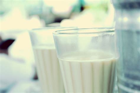 Casein Milk Protein Definition And Uses