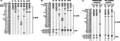 A And B Comparison Of Inno Lipa Strip Patterns Obtained From Versant