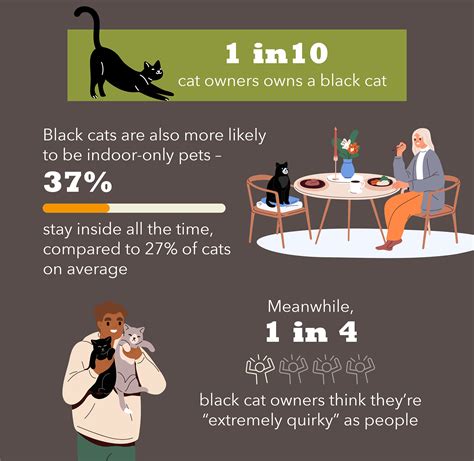 Cat people are flipping the ‘bad luck’ brand for Black Cat Day: poll