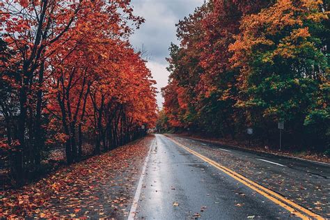 Hd Wallpaper Wide Angle Photo Of Road Autumn Autumn Leaves Fall