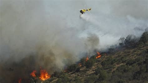 Conaf En Un Seis Por Ciento Han Disminuido Los Incendios Forestales En