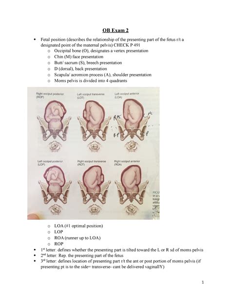 OB EXAM 2 Study Guide OB Exam 2 Fetal Position Describes The