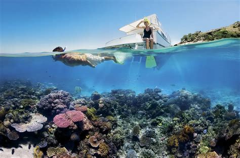 The Truth About Corals And Sunscreen Smithsonian Ocean