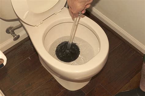 How To Unclog And Plunge A Clogged Toilet