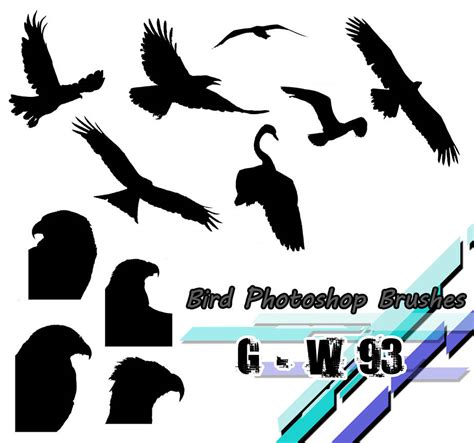 Photoshop Brushes (Birds) by G-W93 on DeviantArt