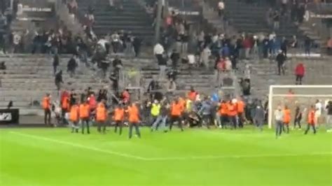 Angers Marseille Une Violente Bagarre éclate Entre Les Supporters Après La Rencontre Vidéo