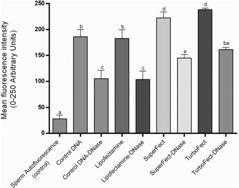 Dnase Protection Assays Mean Fluorescence Intensity Of Sperm