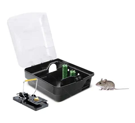 Mouse Bait Station Rodent Control Rat Trap China Mouse Bait Station