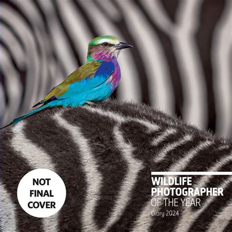 Wildlife Photographer Of The Year Desk Diary 2024 By Natural History