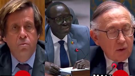 Le Mali recadre la France et l Equateur au Conseil de sécurité de l ONU