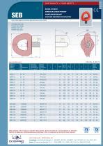 Swivel Eye Bolt Seb Codipro Pdf Catalogs Technical Documentation