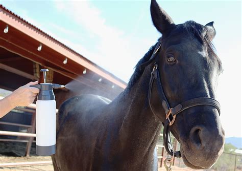 High Performance Equine Mister Extrememist