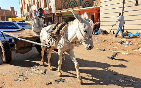 Poceni Potovanje V Sudan Popotni Ke Informacije