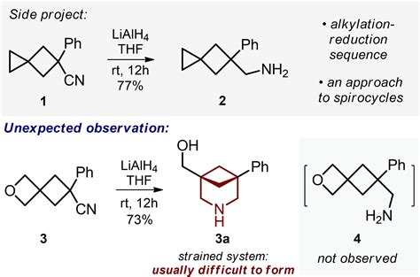 General Synthesis Of 3Azabicyclo 3 1 1 Heptanes And Evaluation Of