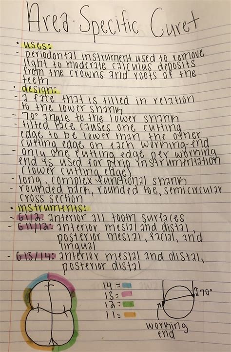 Area Specific Curet Functions | Dental hygiene school, Dental assistant ...