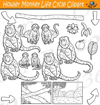 Howler Monkey Life Cycle Clipart by I 365 Art - Clipart 4 School