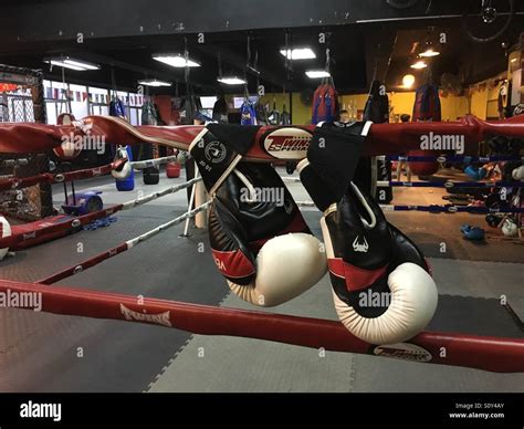 Boxing Ring Hi Res Stock Photography And Images Alamy