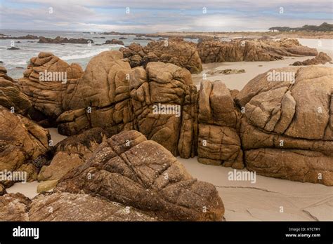 17 Mile Drive Is A Scenic Road Through Pebble Beach And Pacific Grove