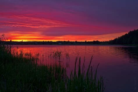 Озеро белое Клепиковский район (46 фото) - 46 фото