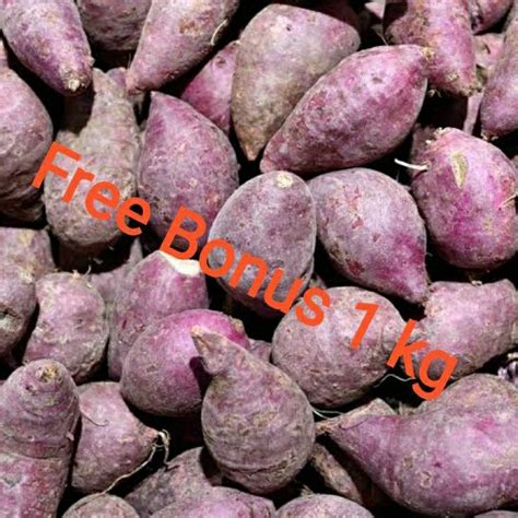 Jual Ubi Ungu Talas Ubi Ungu Taro 1 Kg Shopee Indonesia