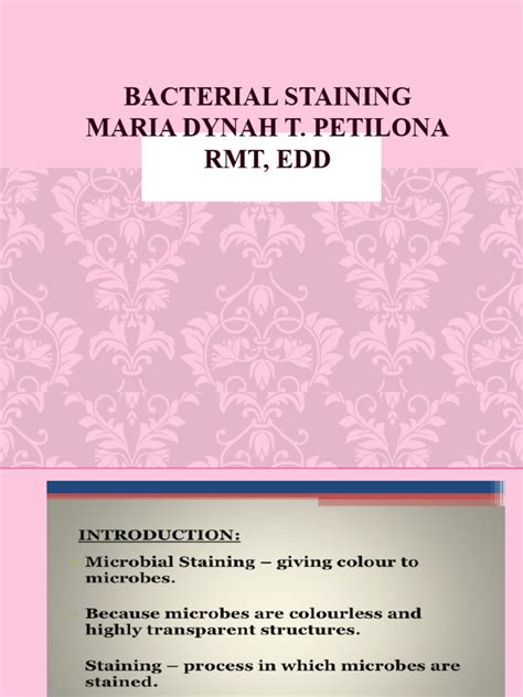 Bacterial-staining | PDF 