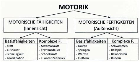 F Higkeit Motorische Schwimmlexikon Das Lexikon Des Schwimmsports