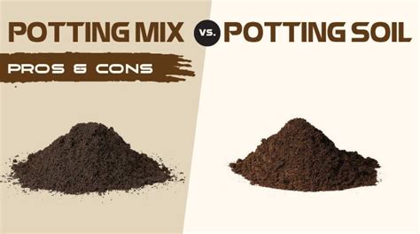 Potting Soil vs. Potting Mix: What’s the Difference? | Potting soil ...