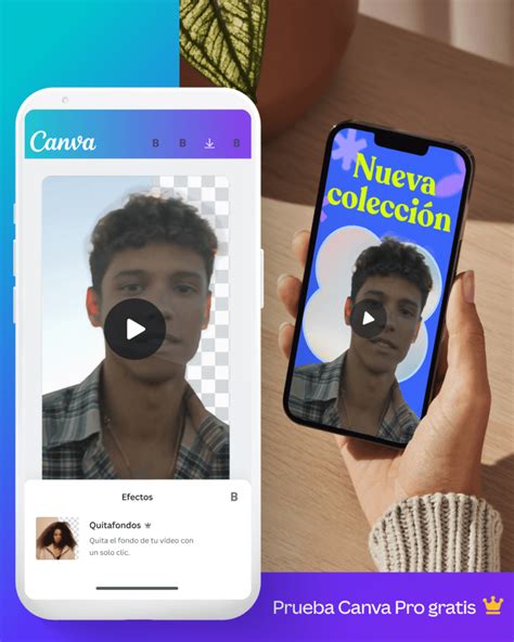 Los mejores 50 000 vídeos de Negro Gay Banco de Imágenes Gratis Vídeos de archivo de Pexels