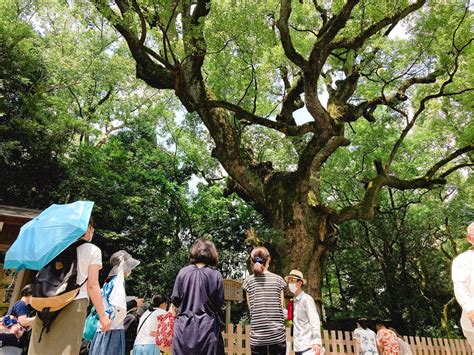 大ナゴヤツアーズ On Twitter 【ツアー予約受付中！】 7月10日日開催 神社仏閣歴史／名古屋 なぜ“三種の神器”は熱田の