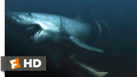 Mega Shark Vs Giant Octopus Movie Clip You Re Insane