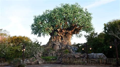 Zootopia Show Headed to Tree of Life Theater at Disney's Animal Kingdom