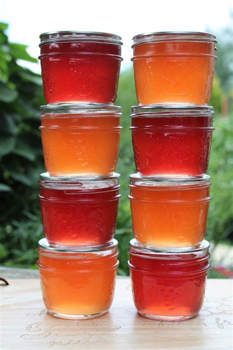 Gooseberry Jelly Gooseberries Are One Of Those Berries That Are High In Pectin Especially When