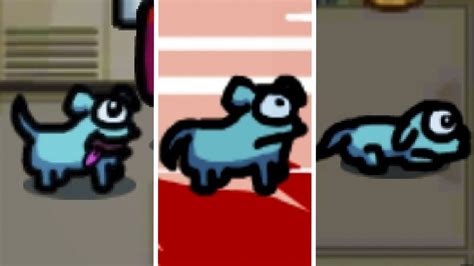 Did You Know The Among Us Dog Has A Very Adorable Animation When You