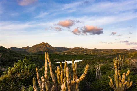 Regenseizoen Op Curacao Alles Wat Je Moet Weten Wauwcuracao