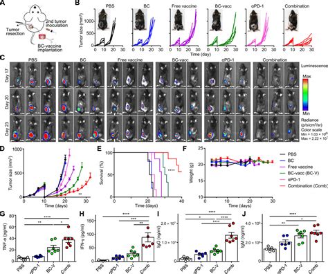 An Implantable Blood Clotbased Immune Niche For Enhanced Cancer