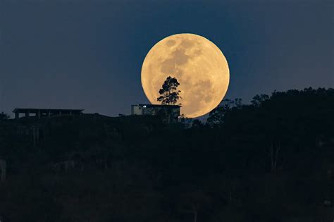 Superlua mais brilhante do ano poderá ser vista em Goiás O Hoje