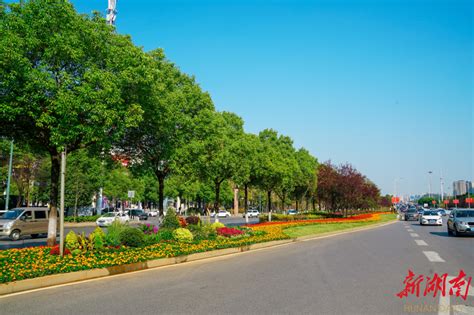 许你一路美景！湘江新区绿化景观提质扮靓城市“颜值” 区县动态 新湖南