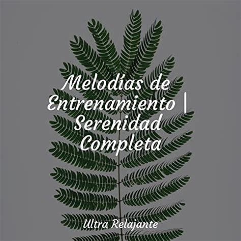 Play Melodías de Entrenamiento Serenidad Completa by Música para