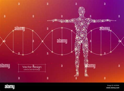 Abstract Human Body With Molecules Dna Medicine Science And