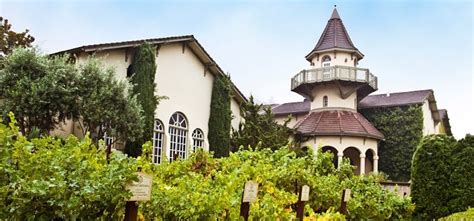 Chateau St Jean - Winery | Wine-Searcher