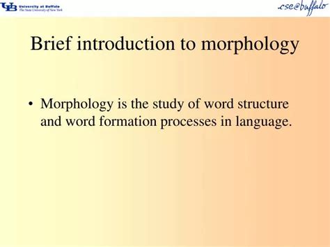 Ppt Brief Introduction To Morphology Powerpoint Presentation Free
