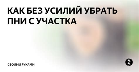 КАК БЕЗ УСИЛИЙ УБРАТЬ ПНИ С УЧАСТКА | Своими руками | Дзен