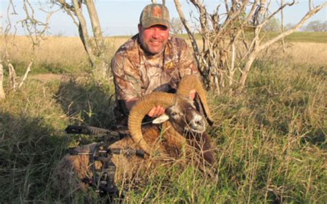 Texas Exotic Hunting Lonesome Bull Ranch