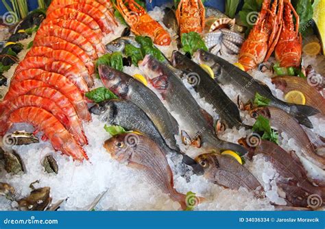 Frozen Seafood Stock Photo Image Of Healthy Fish Market 34036334