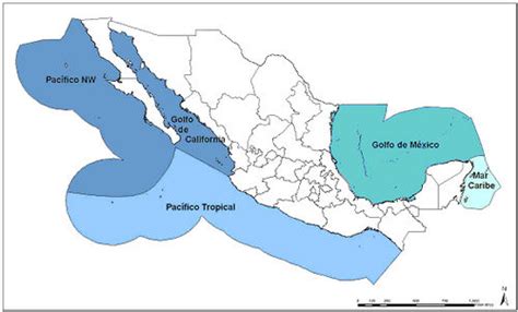 México y sus límites territoriales Nueva Escuela Mexicana Digital