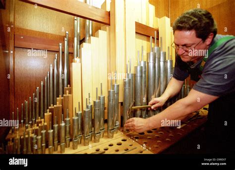 Organ Builder To Repair The Organ Brandenburg Stock Photo Alamy