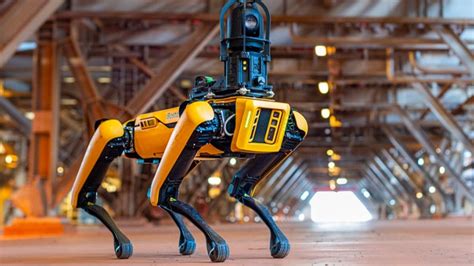 Spot O Cão Robô Da Boston Dynamics Abriu A Porta E Saiu