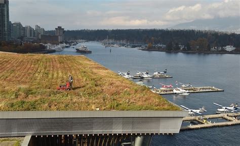 Heres How The Largest Green Roof In Canada Gets Its Annual Mowing