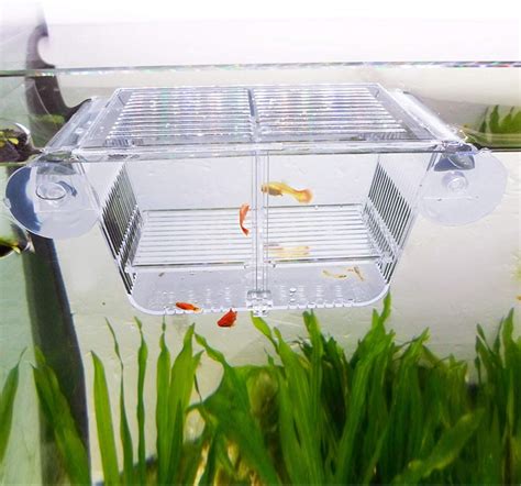 Capetsma Fish Breeding Box Acrylic Fish Isolation Box With Suction