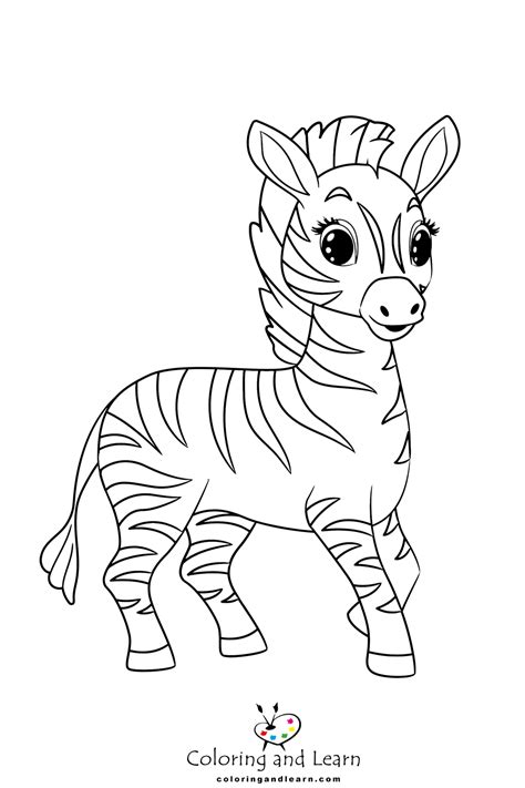 Zebra Coloring Pages (FREE) (2025) - Coloring and Learn